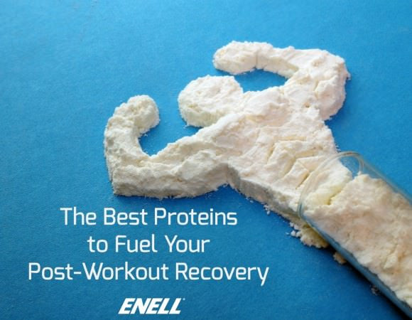 The Best Proteins to Fuel Your Post-Workout Recovery – Enell